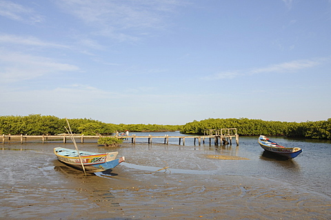 Pirogue (fishing boat) on the mangrove backwaters of the Sine Saloum Delta, Senegal, West Africa, Africa