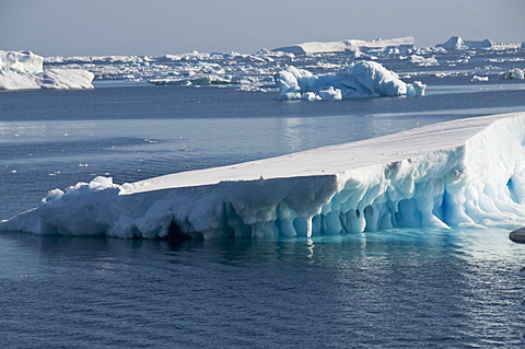 Ice in the Antarctic Sound, Antarctic Peninsula, Antarctica, Polar Regions