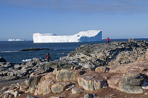 Gourdin Island, Antarctic Peninsula, Antarctica, Polar Regions