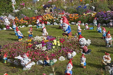 Gnomes, Port Stanley, Falkland Islands, South America