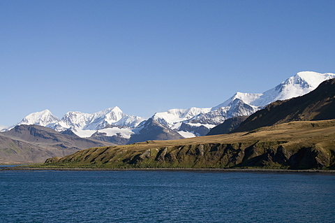 Grytviken, South Georgia, South Atlantic