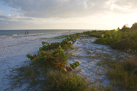 Sunset on beach, Sanibel Island, Gulf Coast, Florida, United States of America, North America