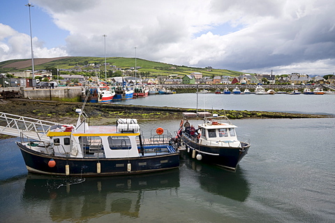 Dingle Harbour with fishing boats, Dingle, County Kerry, Munster, Republic of Ireland, Europe