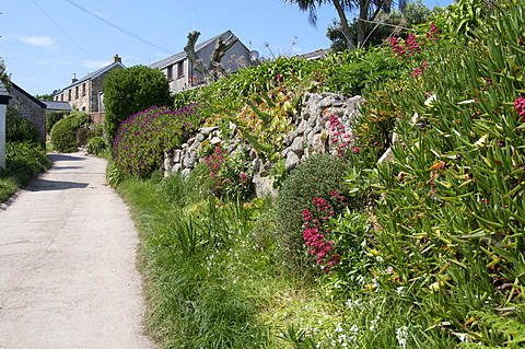 Bryher, Isles of Scilly, United Kingdom, Europe