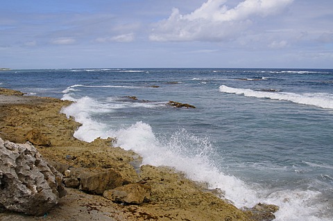 North shore, Barbuda, Antigua and Barbuda, Leeward Islands, West Indies, Caribbean, Central America