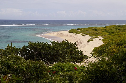 North shore, Barbuda, Antigua and Barbuda, Leeward Islands, West Indies, Caribbean, Central America