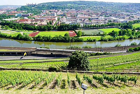 River Main, Wurzburg, Bavaria, Germany, Europe