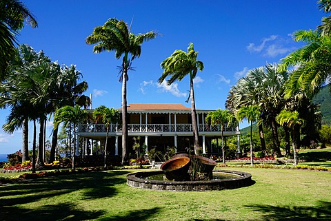 Nevis Botanical Garden, Nevis, St. Kitts and Nevis, Leeward Islands, West Indies, Caribbean, Central America 