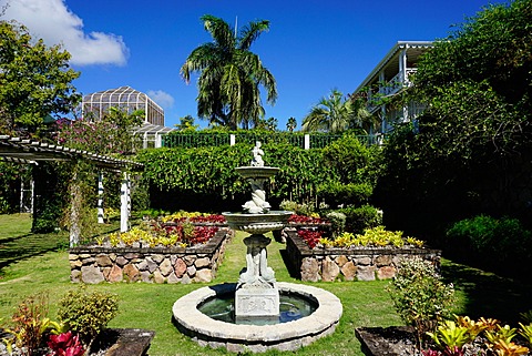 Nevis Botanical Garden, Nevis, St. Kitts and Nevis, Leeward Islands, West Indies, Caribbean, Central America 