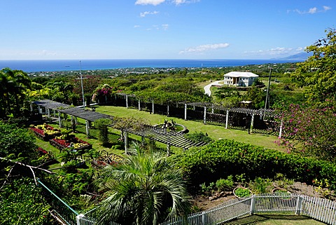 Nevis Botanical Garden, Nevis, St. Kitts and Nevis, Leeward Islands, West Indies, Caribbean, Central America 