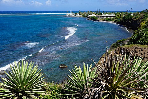 Atlantic coast, St. Kitts, St. Kitts and Nevis, Leeward Islands, West Indies, Caribbean, Central America 