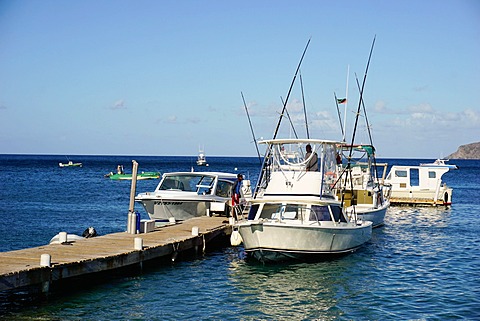 Dock at Oualie Beach, Nevis, St. Kitts and Nevis, Leeward Islands, West Indies, Caribbean, Central America 