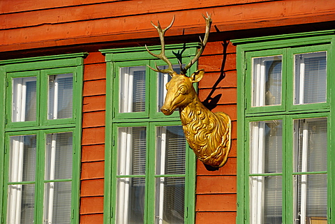 Traditional wooden Hanseatic merchants buildings of the Bryggen, UNESCO World Heritage Site, Bergen, Hordaland, Norway, Scandinavia, Europe