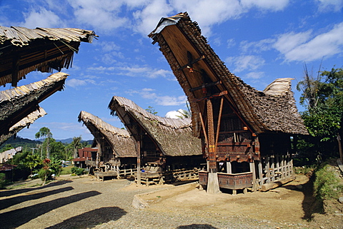 Typical houses and granaries, Toraja area, Sulawesi, Indonesia