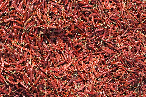 Chilli peppers, India