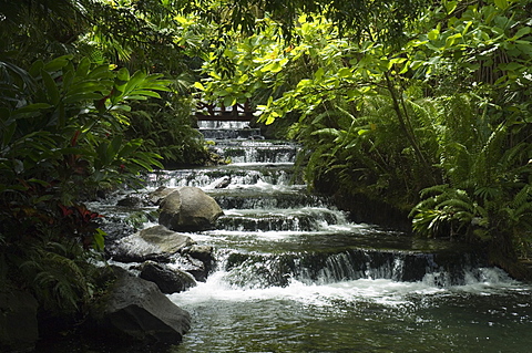 Tabacon Hot Springs, Volcanic hot springs fed from the Arenal Volcano, Arenal, Costa Rica