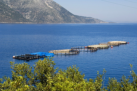 Fish farm for sea bass and sea bream near Vathy (Vathi), Ithaka, Ionian Islands, Greece, Europe