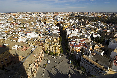 View from La Giralda tower, Seville, Andalusia, Spain, Europe