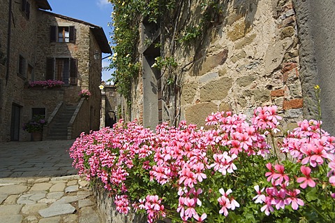 Volpaia, a hill village near Radda, Chianti, Tuscany, Italy, Europe