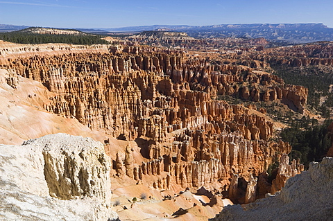 Bryce Canyon National Park, Utah, United States of America, North America