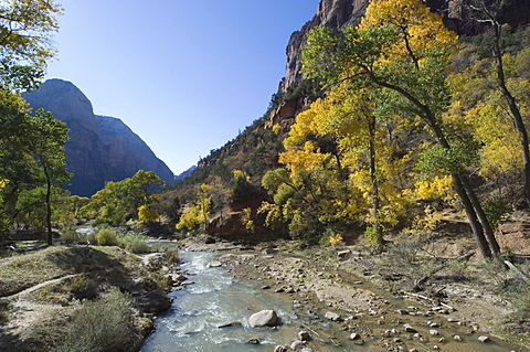 Zion National Park, Utah, United States of America, North America