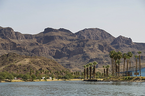 Colorado River dividing California and Arizona, near Parker, Arizona, United States of America, North America