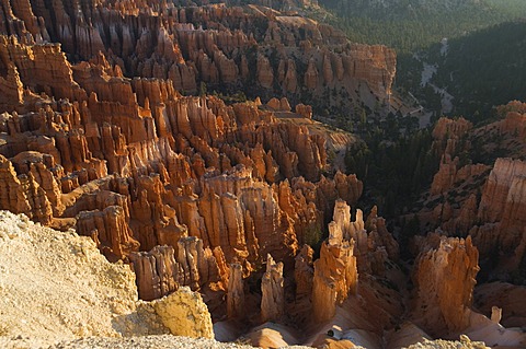 Bryce Canyon National Park, Utah, United States of America, North America