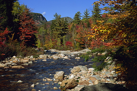 The Swift River in autumn (fall), on the Kangamagus Highway, White Mountains National Forest, New Hampshire, New England, United States of America, North America