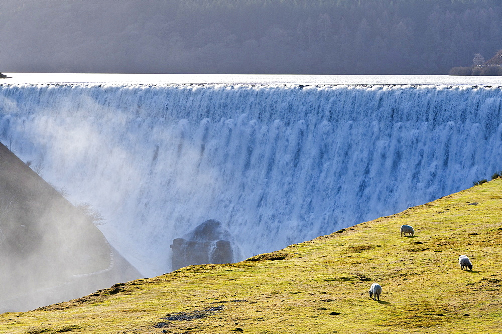 Water cascades over the Caban-coch dam, at Elan Valley village near Rhayader in Powys, Wales, United Kingdom, Europe