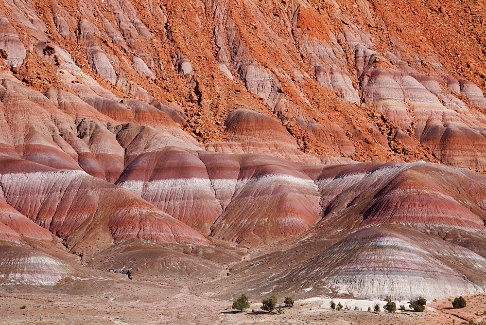 Rock strata in cliffs in Paria River Valley, Grand Staircase-Escalante National Monument, near Page, Arizona, United States of America, North America