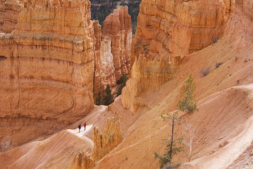 People on trail, Bryce Canyon National Park, Utah, United States of America, North America