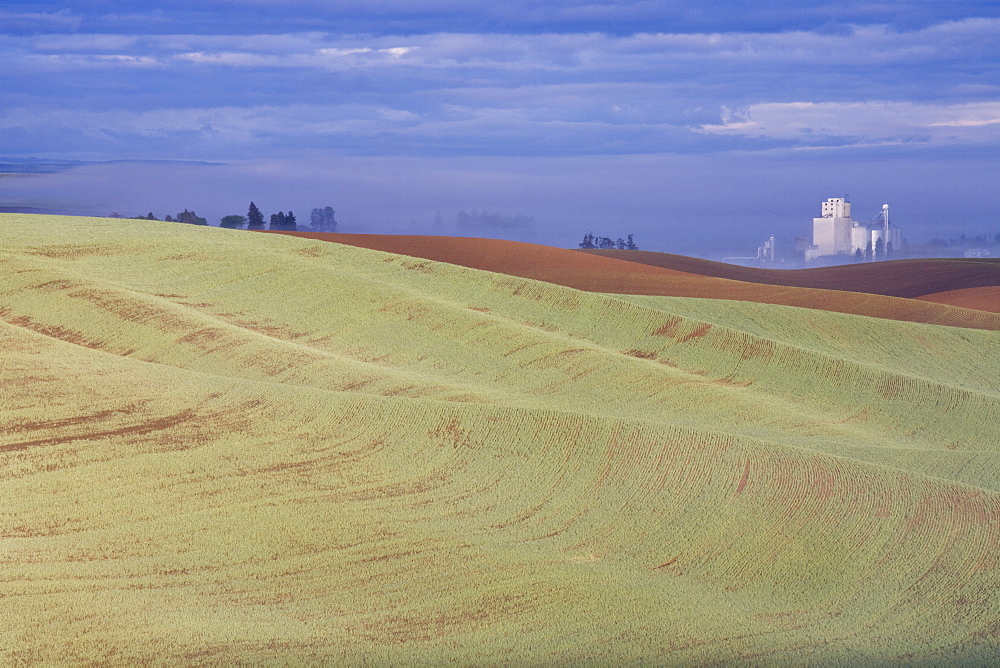 Genesee grain silo, Palouse, Idaho, United States of America, North America