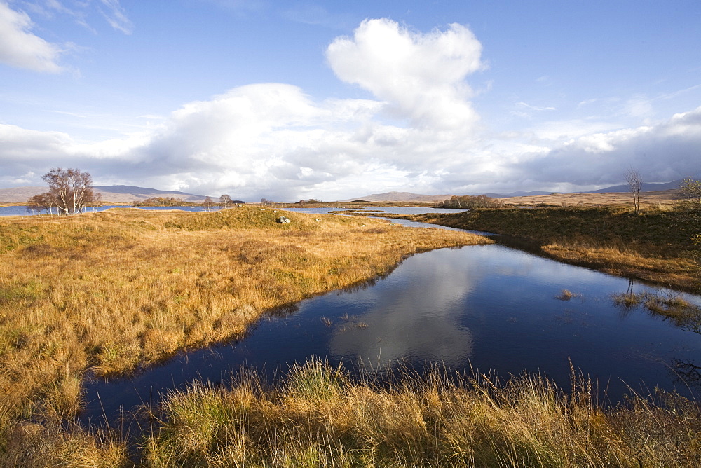 Loch Ba' in autumn, Rannoch Moor, near Glencoe, Highlands, Scotland, United Kingdom, Europe