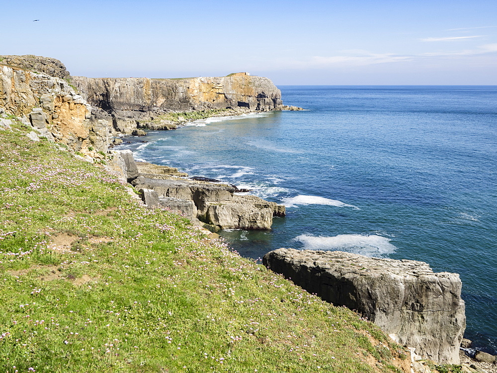 Coast at St. Govan, Pembrokeshire Coast National Park, Pembrokeshire, Wales, United Kingdom, Europe