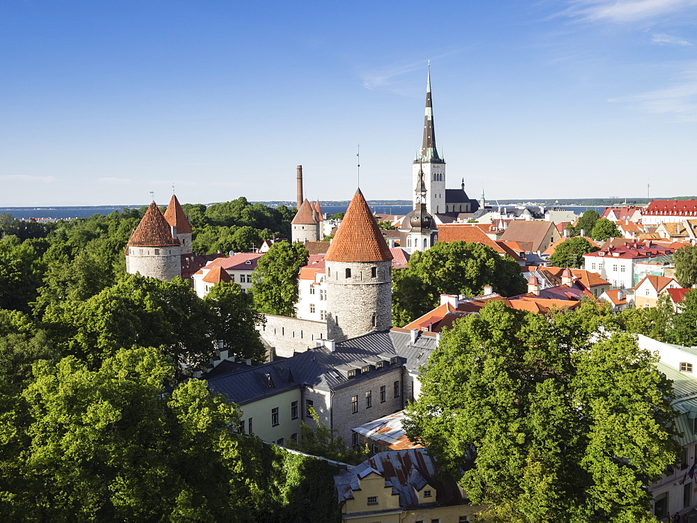 Cityscape view from the Patkuli viewing platform, Old Town, UNESCO World Heritage Site, Tallinn, Estonia, Baltic States, Europe