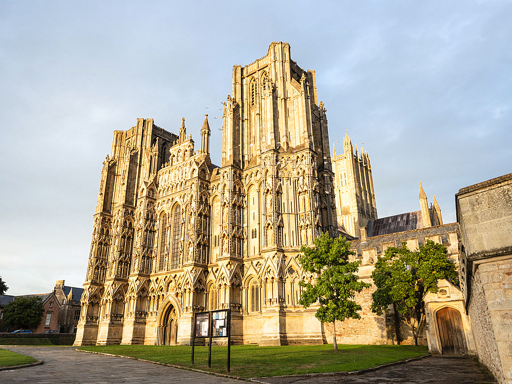 Evening light on the West Front, Wells Cathedral, Wells, Somerset, England, United Kingdom, Europe