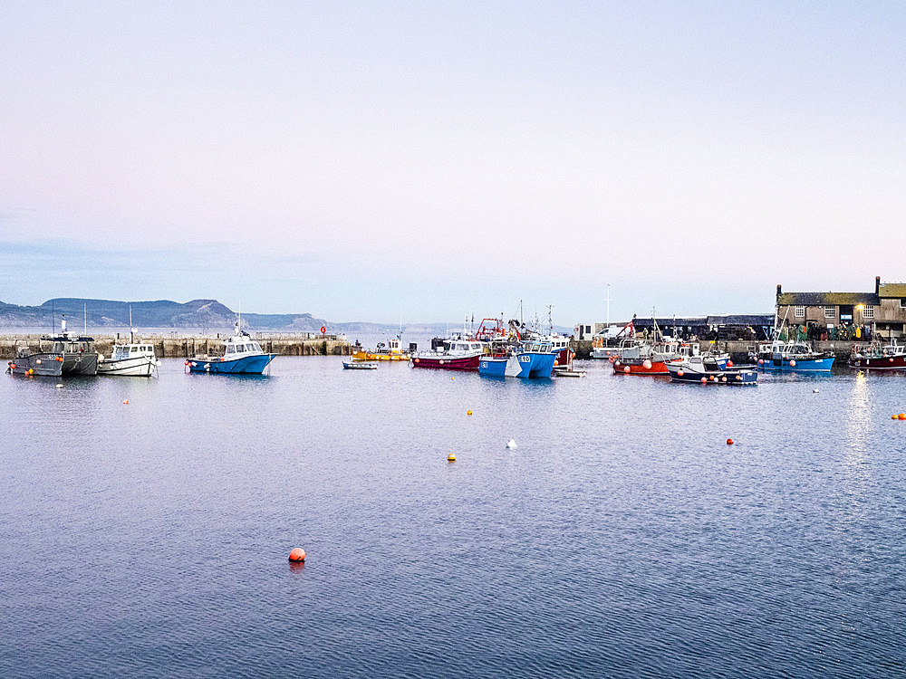 Moored boats in the evening, the Harbour, Lyme Regis, Dorset, England, United Kingdom, Europe