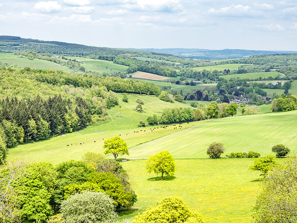 View from The Trundle, Goodwood, South Downs National Park, West Sussex, England, United Kingdom, Europe