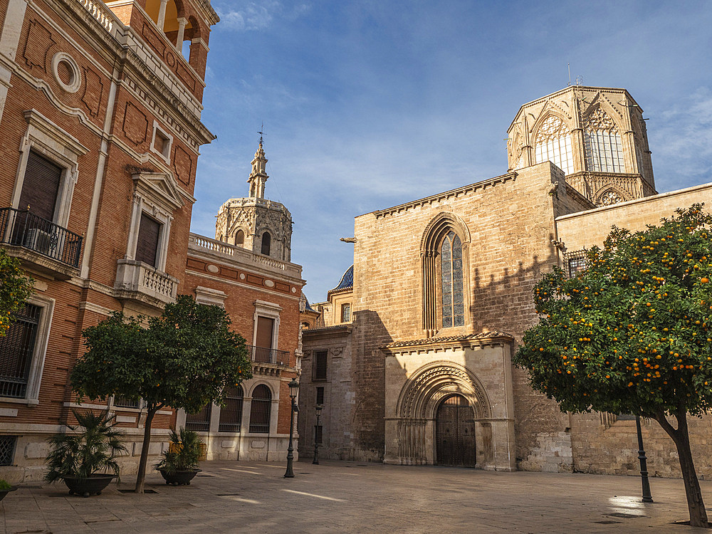 Romanesque Puerta de la Almoina (Alm’s Door), the Cathedral, Placa de l'Almoina with orange tree, Valencia, Spain, Europe