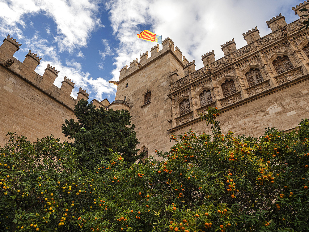 Courtyard with orange trees, La Lonja Silk Exchange, Valencia, Spain, Europe