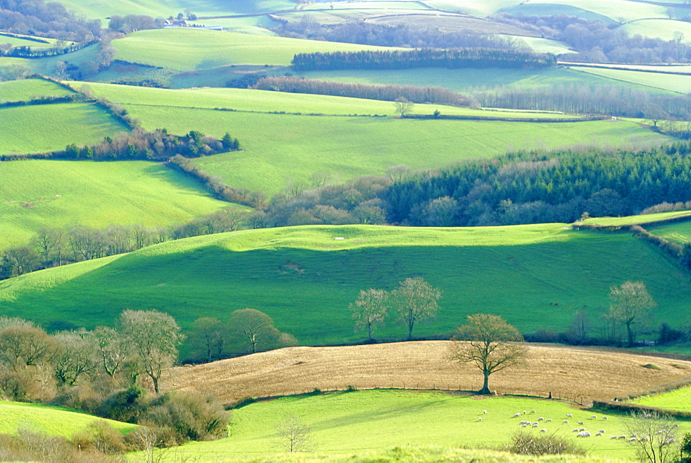 View from Pilsdon Pen, the highest hill in the county, Dorset, England, UK