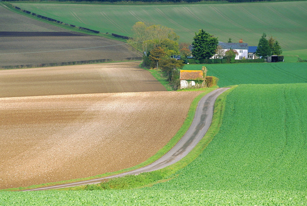 Old Winchester Hill, Hampshire, England 