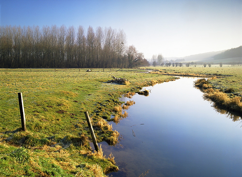 Crequoise Valley, near Montreuil, Nord Pas de Calais, France, Europe