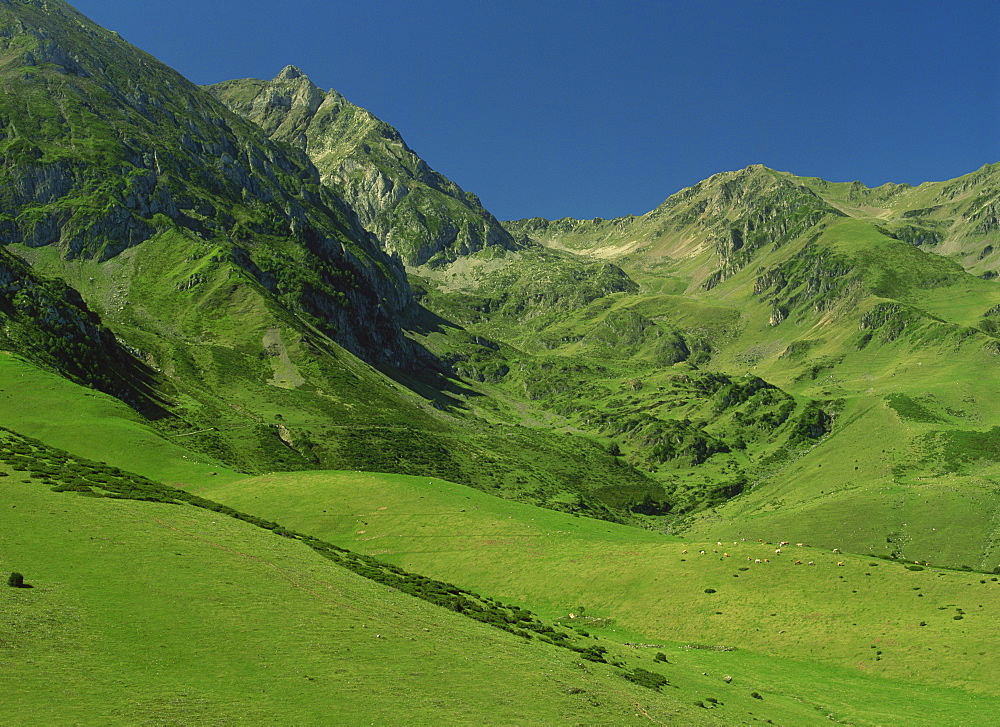 Landscape of mountain slopes near Arreau in the Pyrenees, Midi-Pyrenees, France, Europe