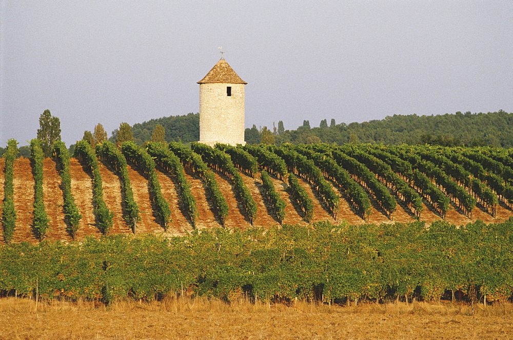 France, Aquitaine, building in vineyard near Saussignac