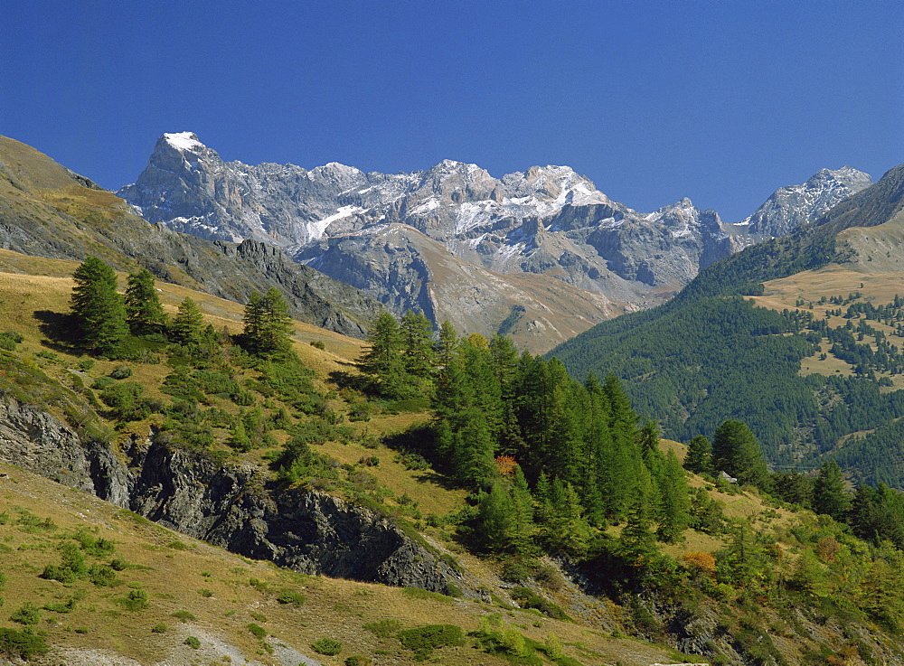 Landscape of trees and mountains in the Vanoise, Savoie (Savoy) in the Rhone-Alpes, French Alps, France, Europe