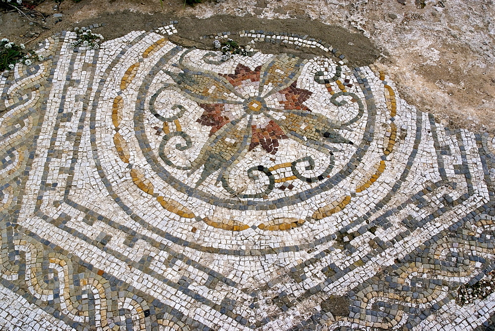 Mosaic from Roman site of Cherchell, buried under the new city, Cherchell, Algeria, North Africa, Africa