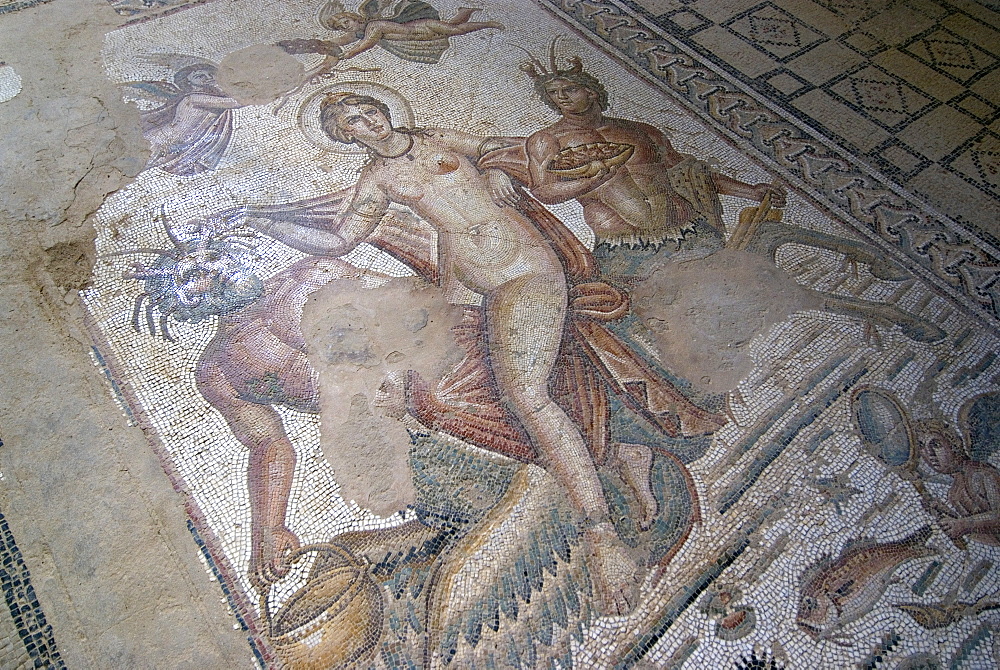 Part of Amphitrite mosaic, House of Amphitrite, Roman ruin of Bulla Regia, Tunisia, North Africa, Africa