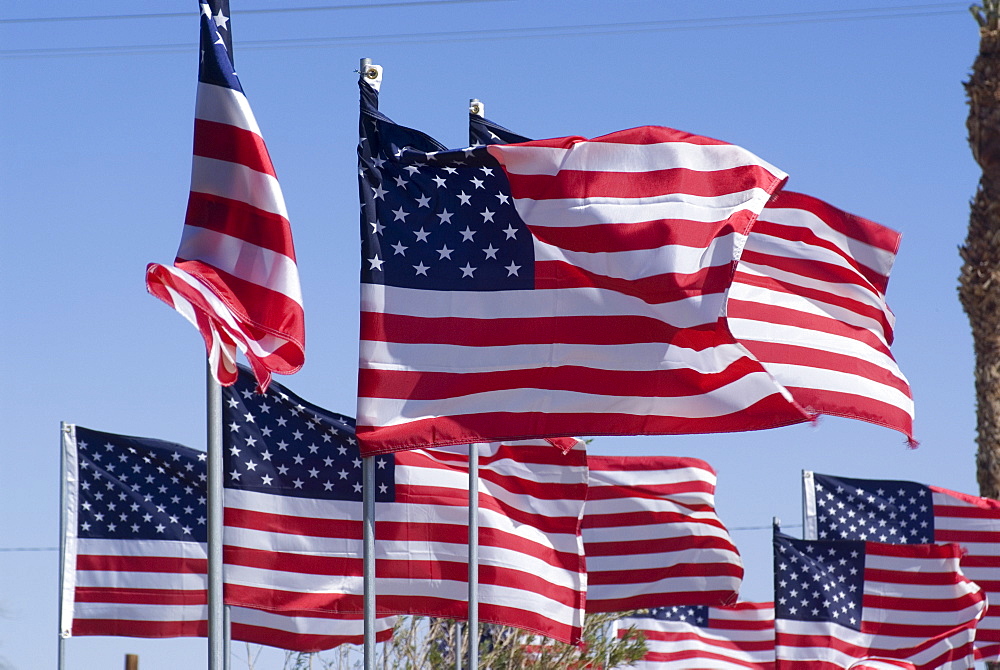 American flags at the Patton Museum, Chiriaco Summit, in the desert where General Patton trained the American troops for the North Africa campaign in World War II, California, United States of America, North America