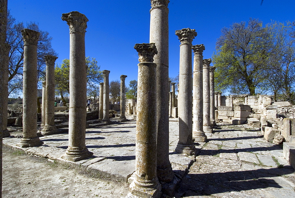 School for youths, Roman site of Makhtar, Tunisia, North Africa, Africa